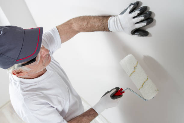 Professional Drywall & Painting Services in Flordell Hills, MO